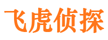 银川市私家侦探公司